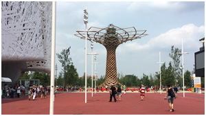 expo